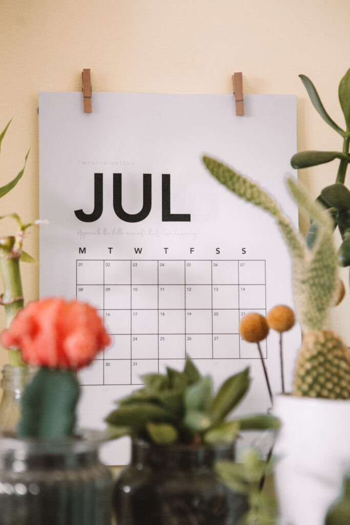 Cursos de inglés de verano para julio